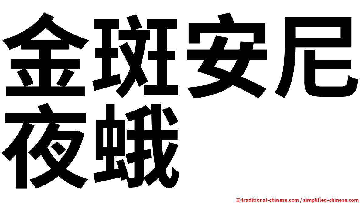 金斑安尼夜蛾