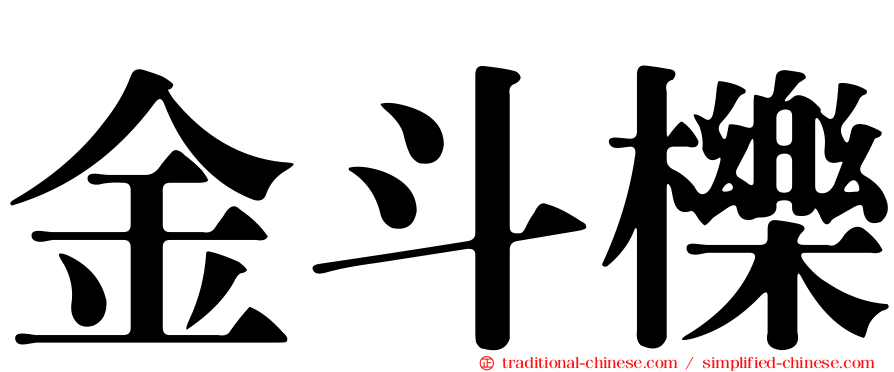 金斗櫟