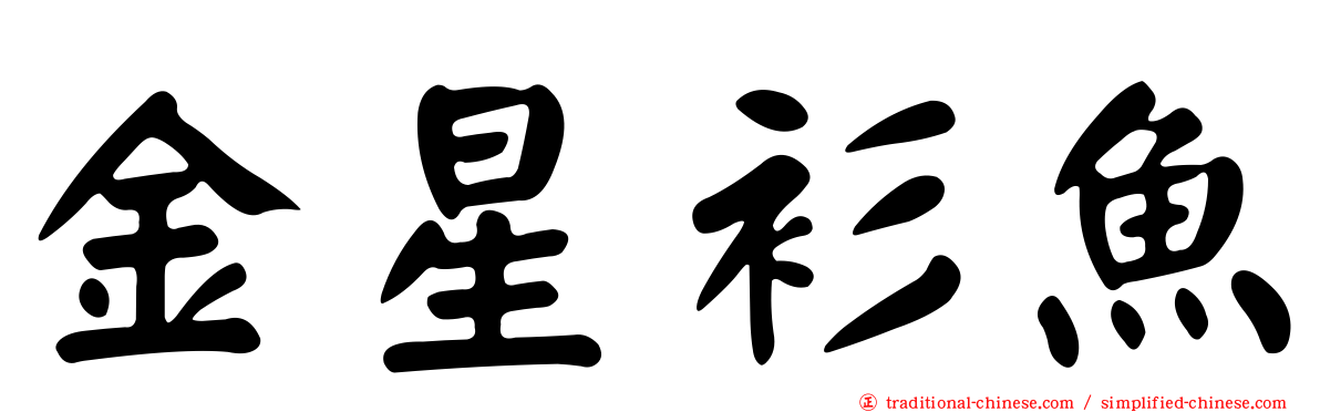 金星衫魚