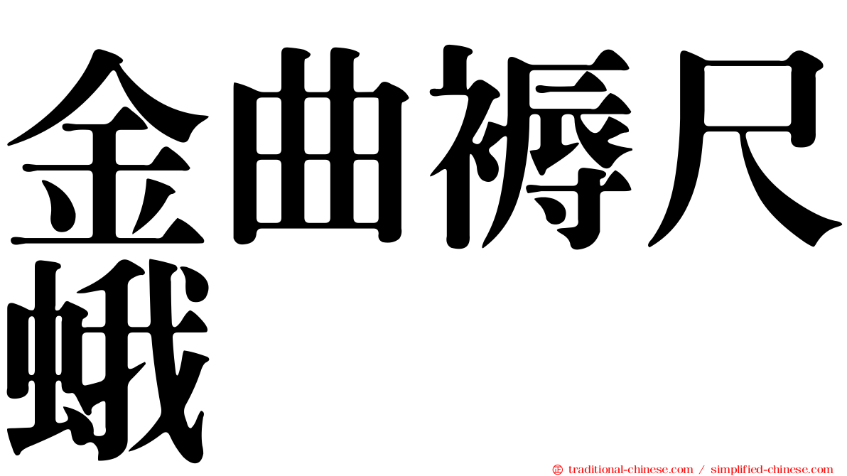金曲褥尺蛾