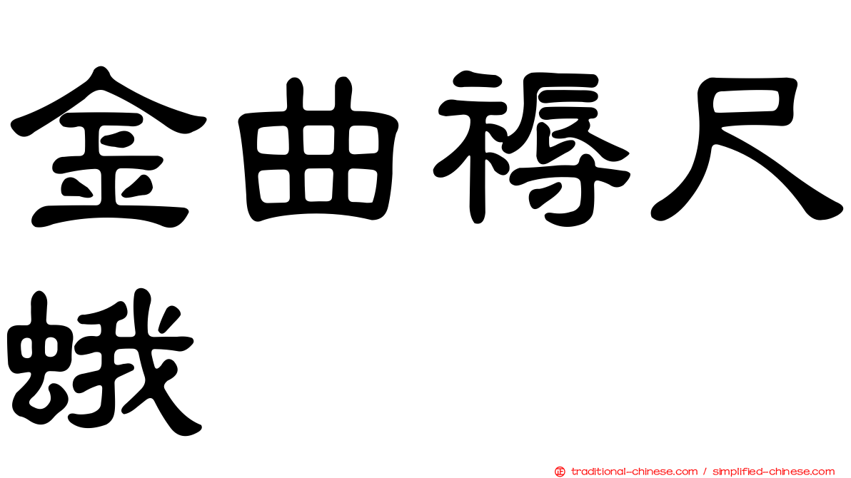金曲褥尺蛾