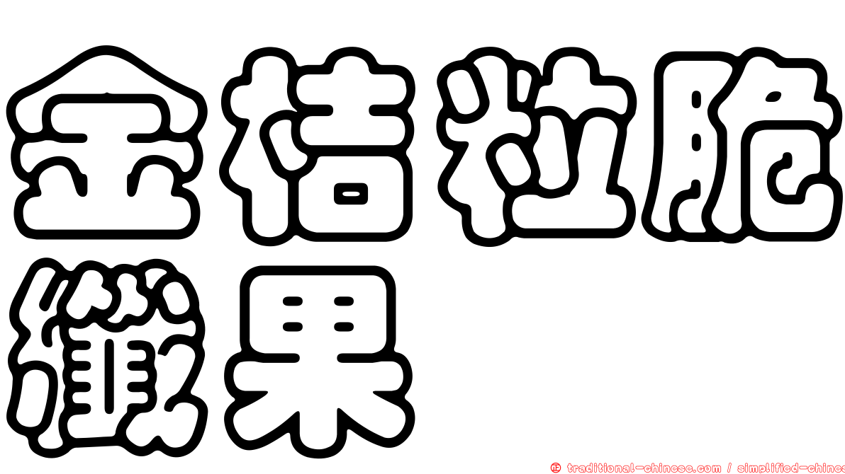 金桔粒脆纖果
