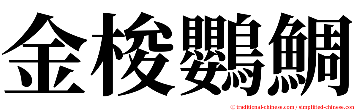 金梭鸚鯛 serif font