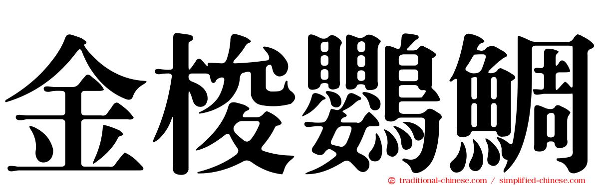 金梭鸚鯛