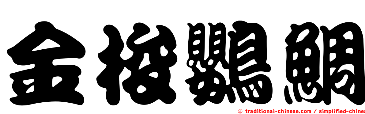 金梭鸚鯛