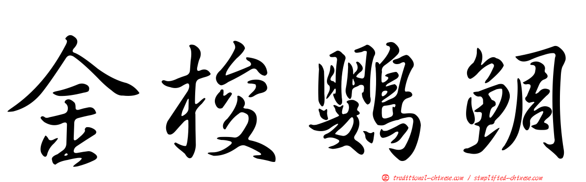 金梭鸚鯛