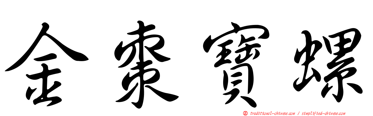 金棗寶螺