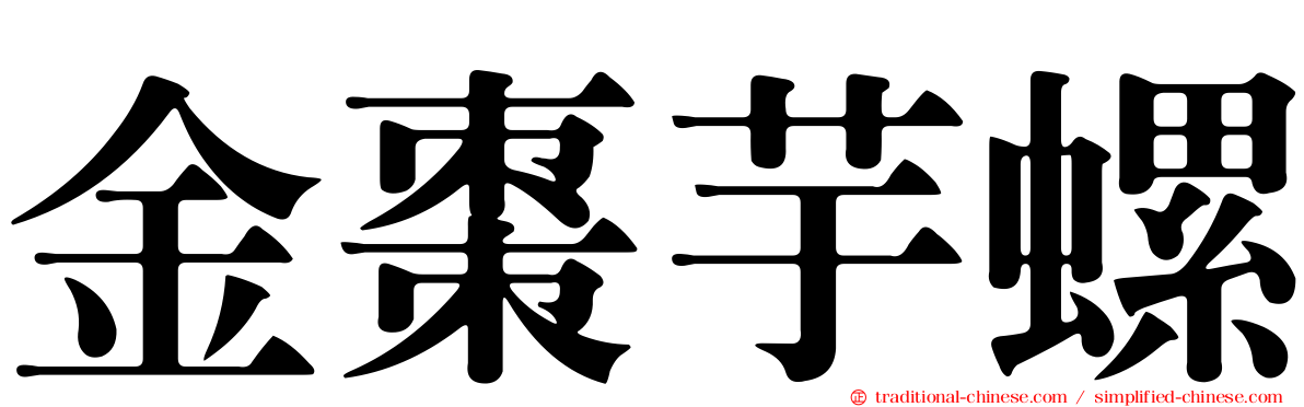 金棗芋螺