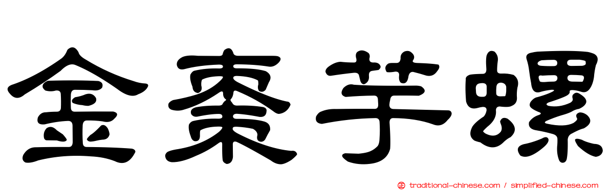金棗芋螺