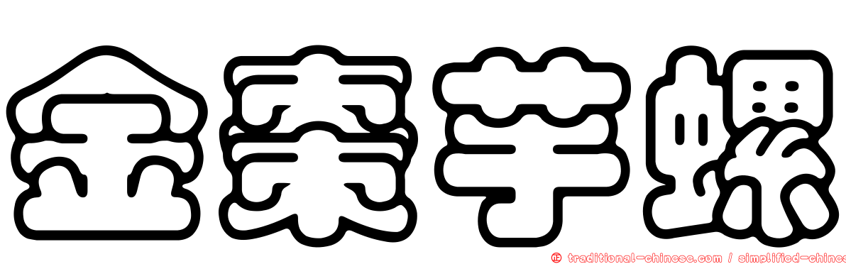 金棗芋螺