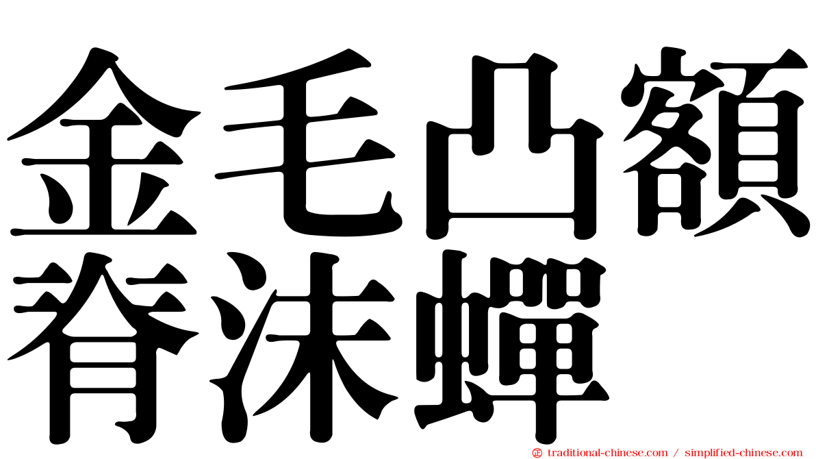 金毛凸額脊沫蟬