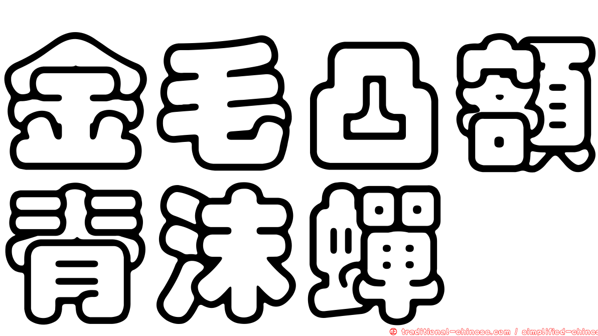 金毛凸額脊沫蟬