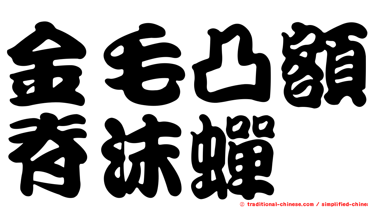 金毛凸額脊沫蟬