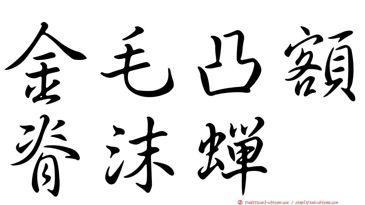 金毛凸額脊沫蟬