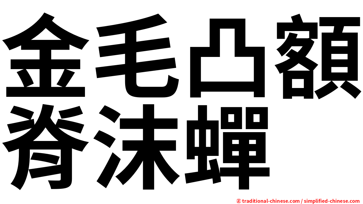 金毛凸額脊沫蟬