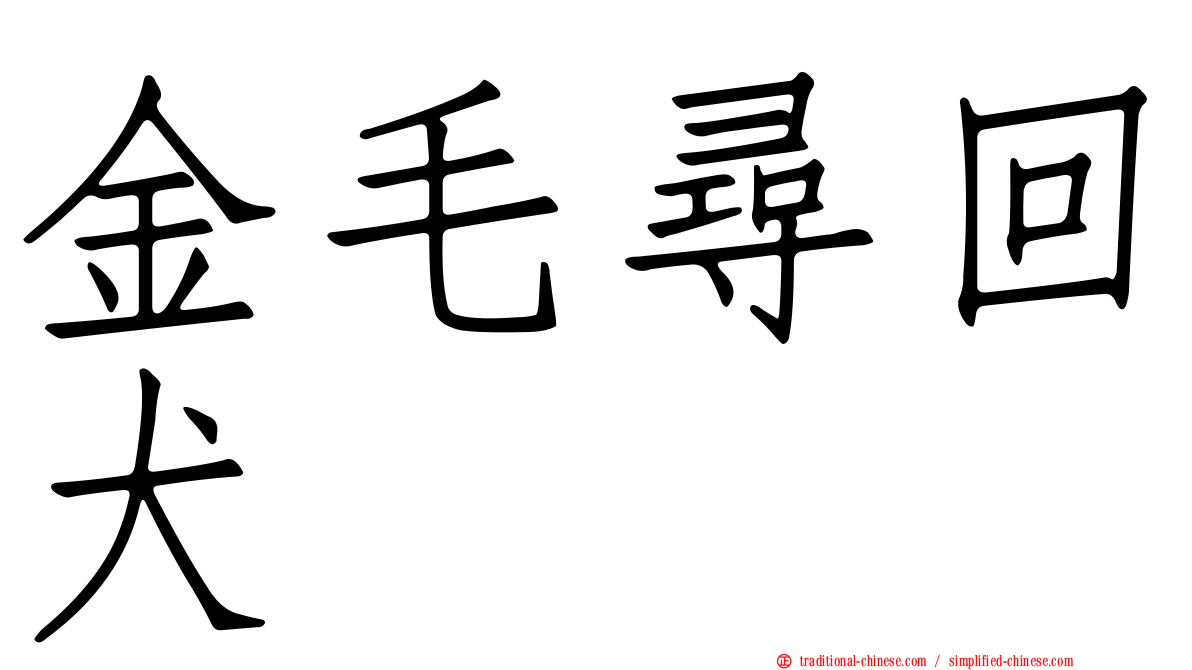 金毛尋回犬