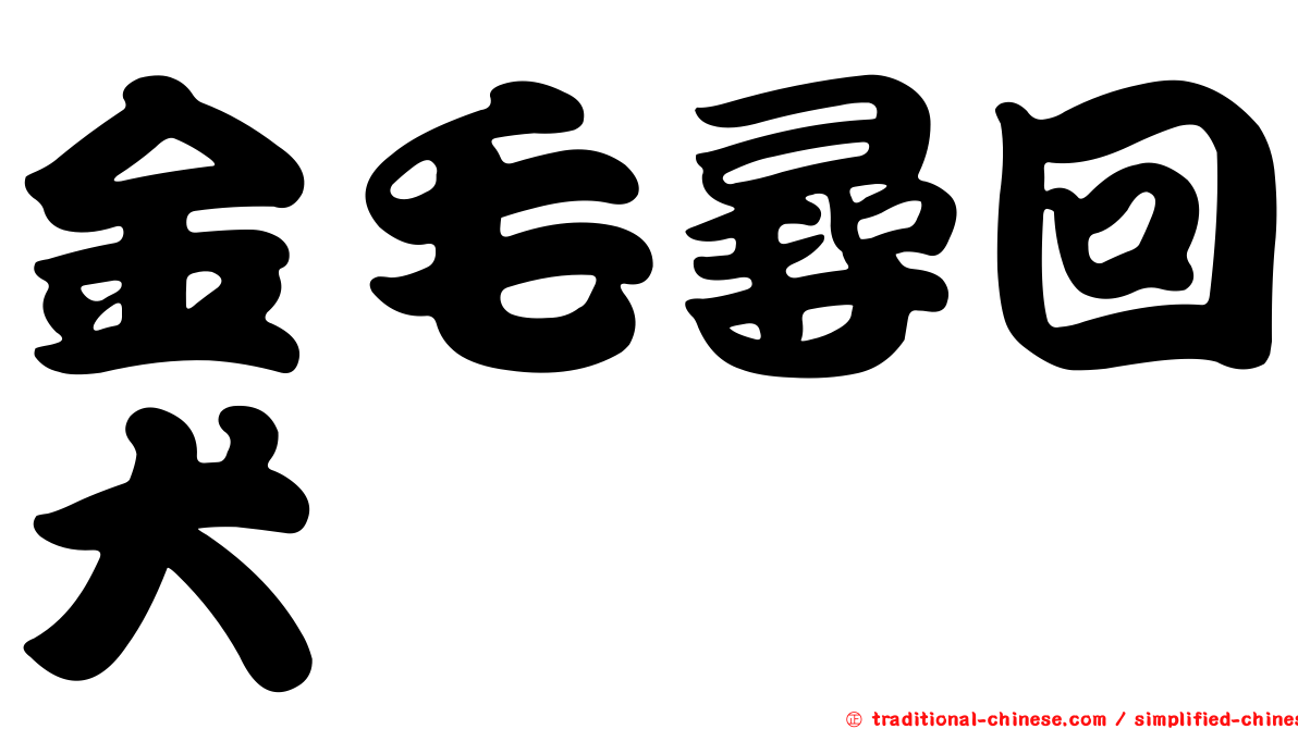金毛尋回犬