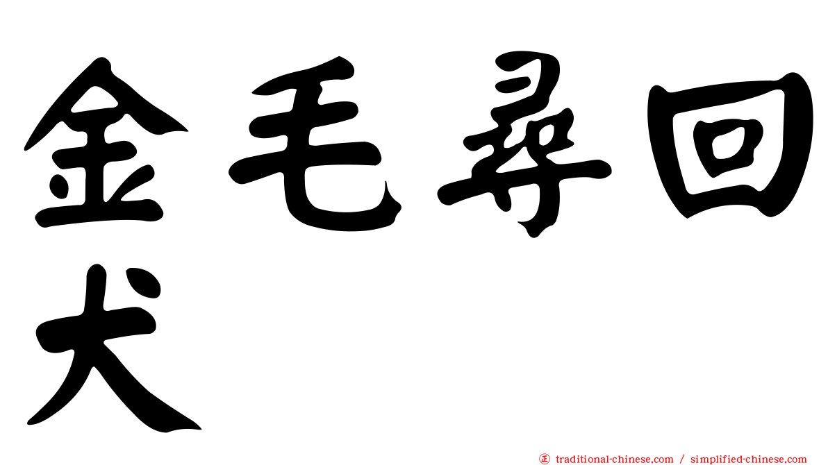金毛尋回犬