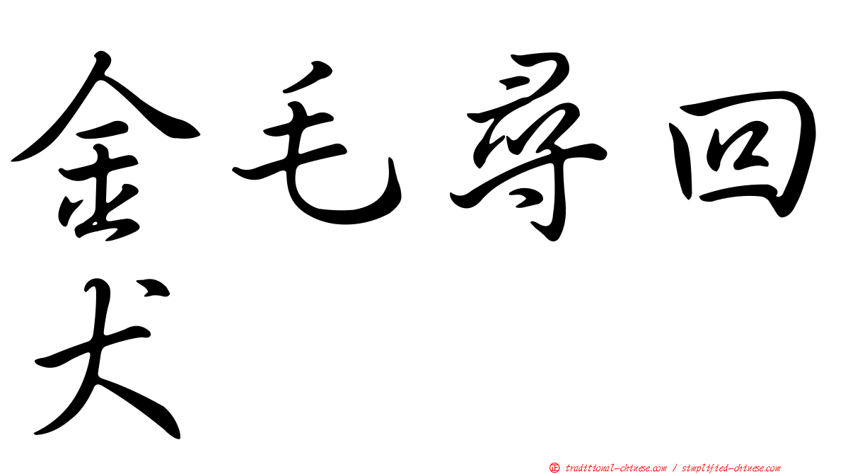 金毛尋回犬