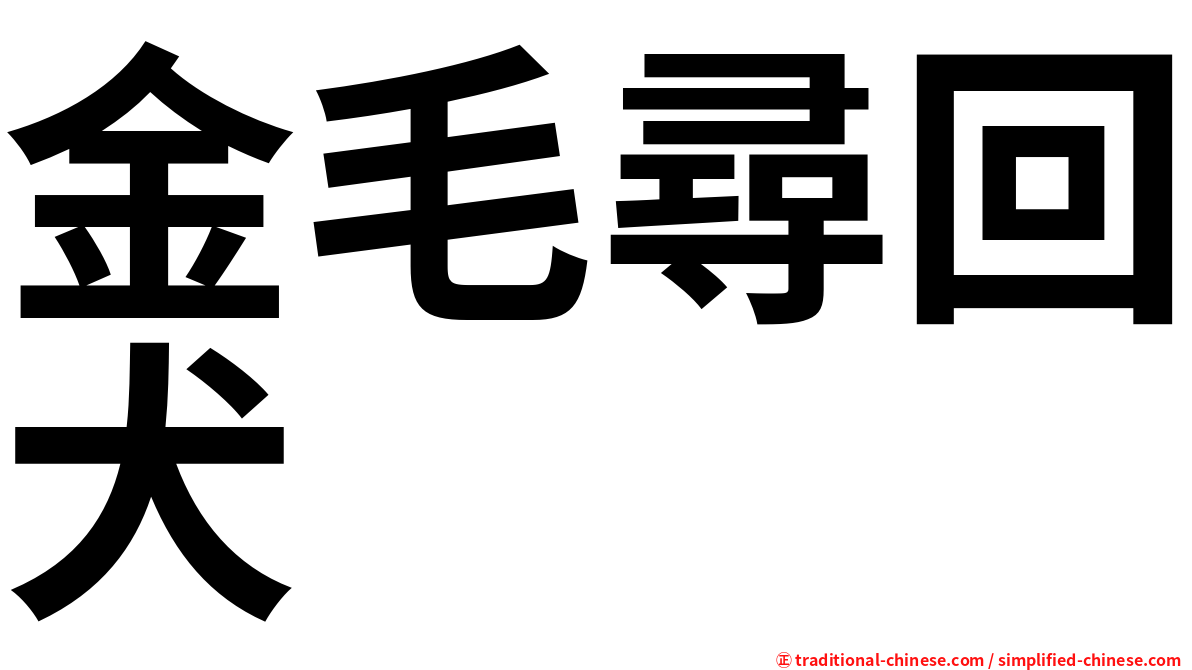 金毛尋回犬