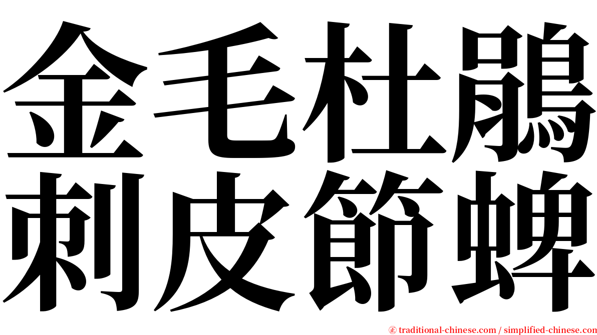 金毛杜鵑刺皮節蜱 serif font