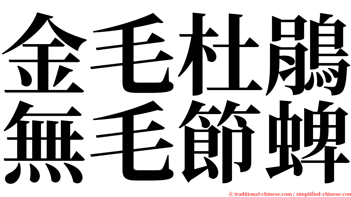 金毛杜鵑無毛節蜱 serif font