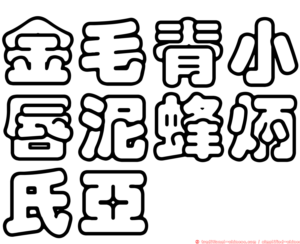 金毛脊小唇泥蜂炳氏亞