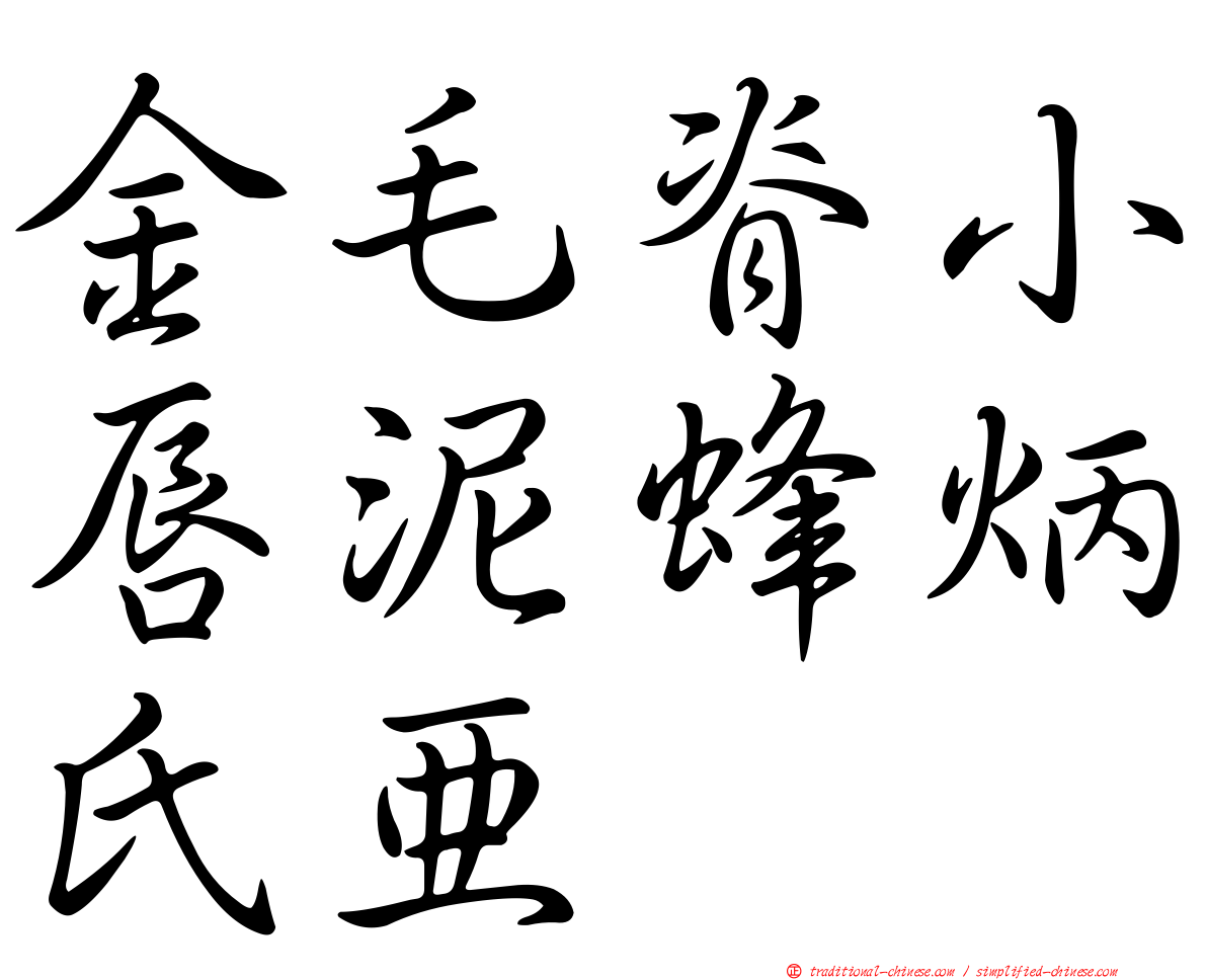 金毛脊小唇泥蜂炳氏亞