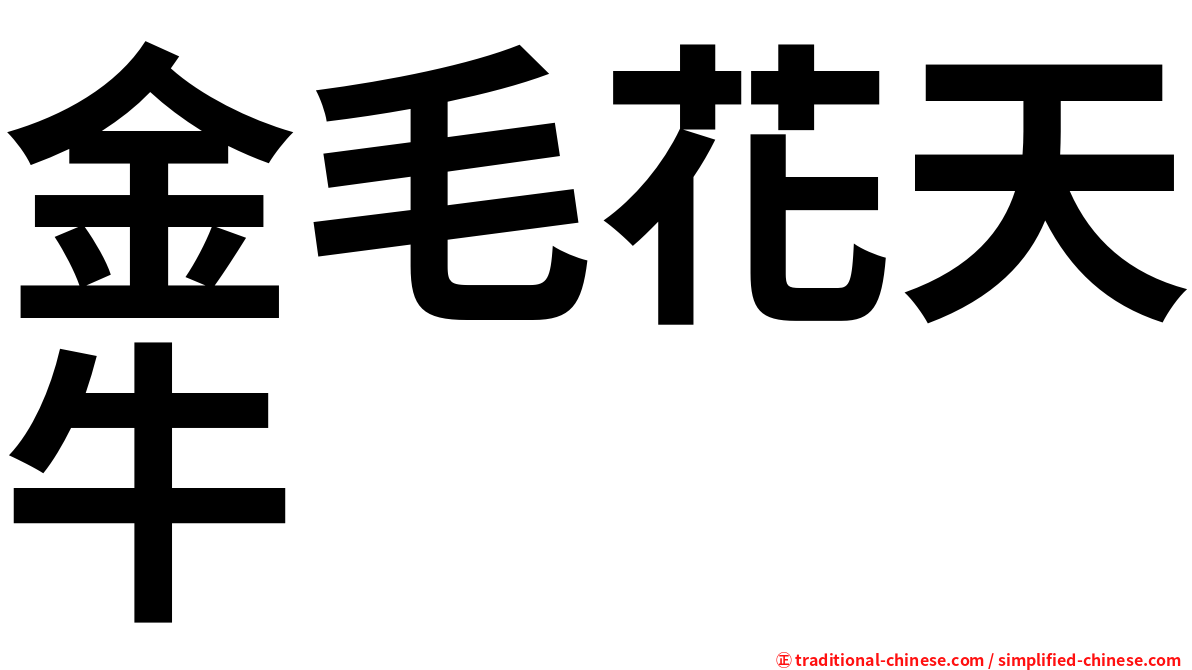 金毛花天牛