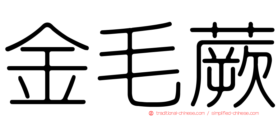 金毛蕨