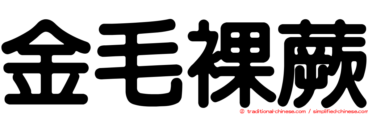 金毛裸蕨