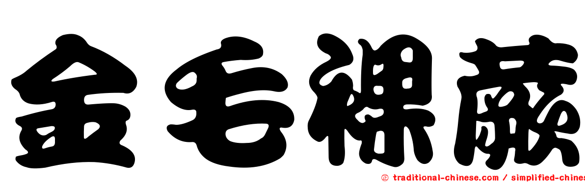 金毛裸蕨