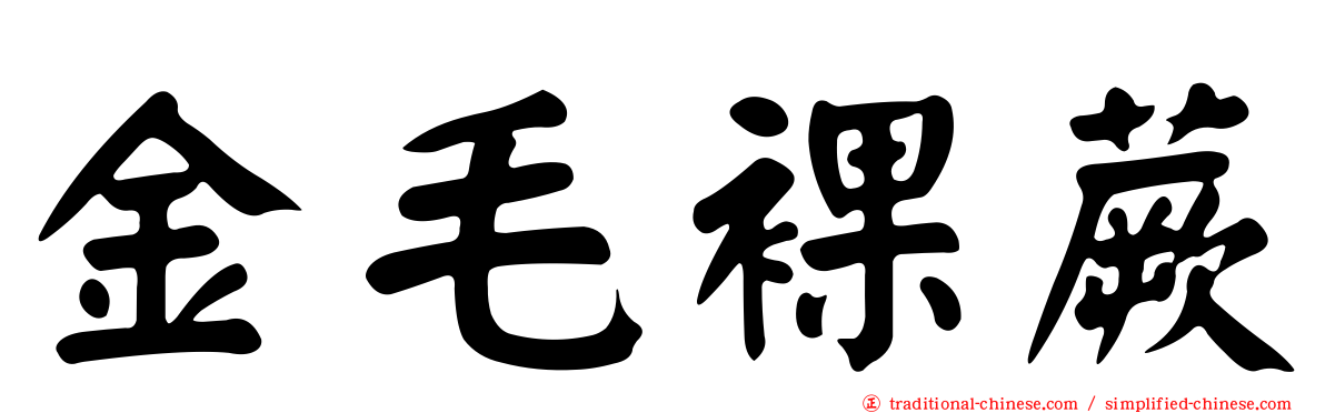金毛裸蕨