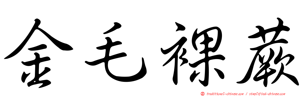金毛裸蕨