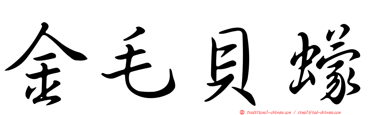 金毛貝蠓