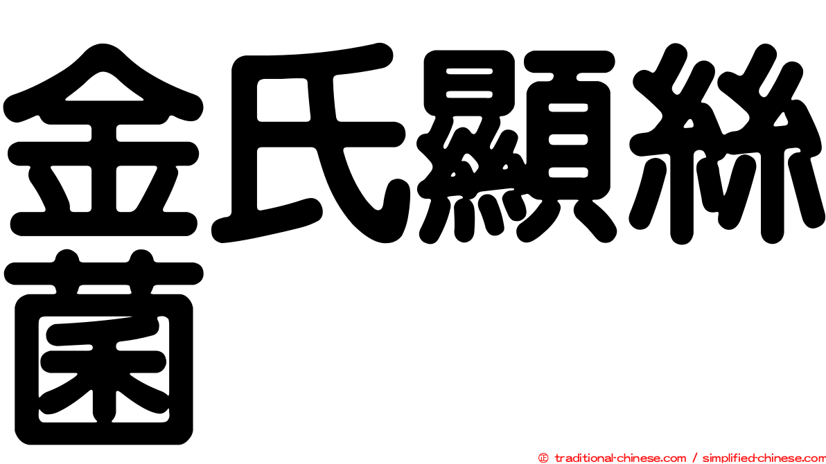 金氏顯絲菌