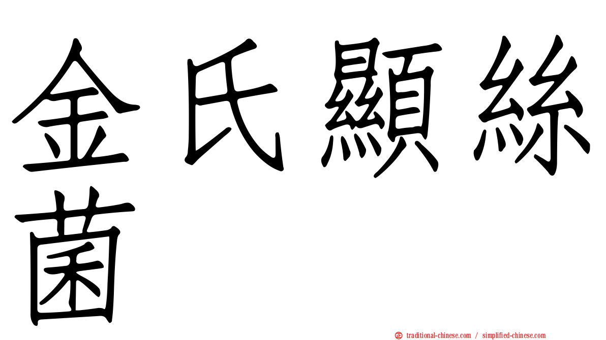 金氏顯絲菌