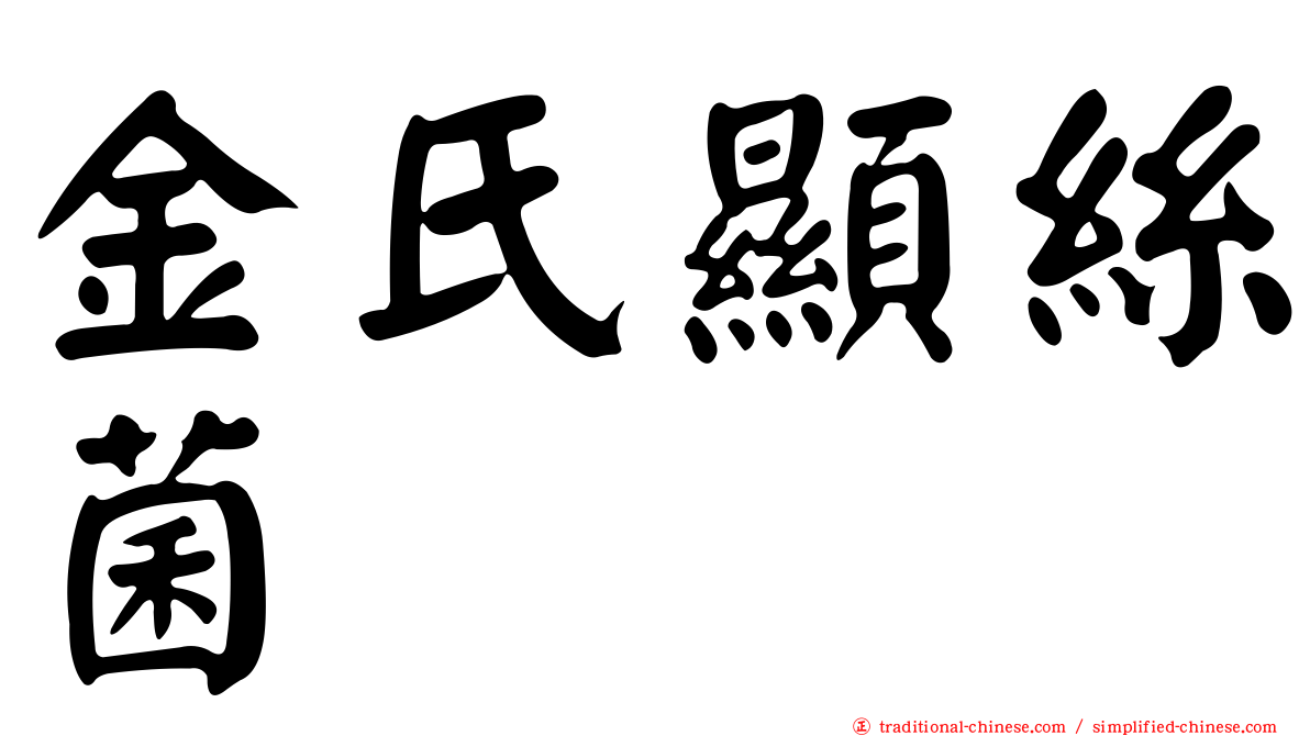 金氏顯絲菌