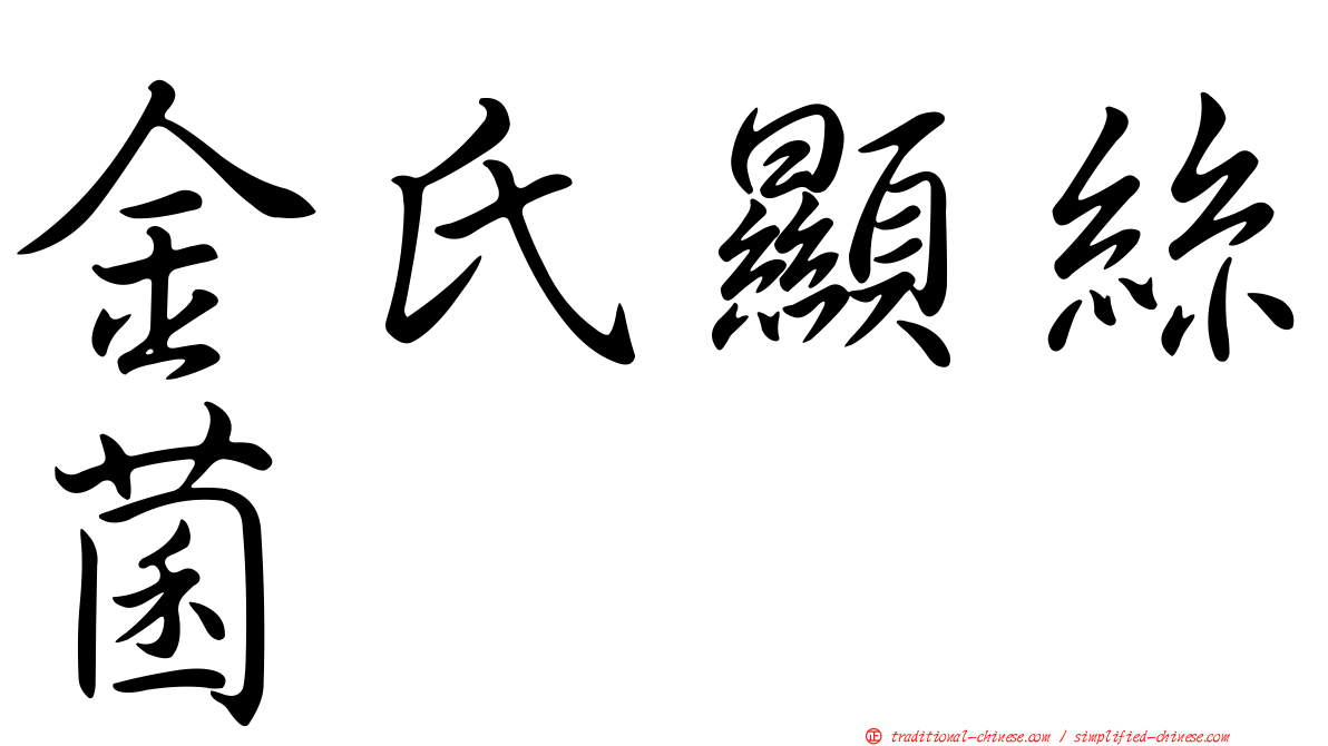 金氏顯絲菌