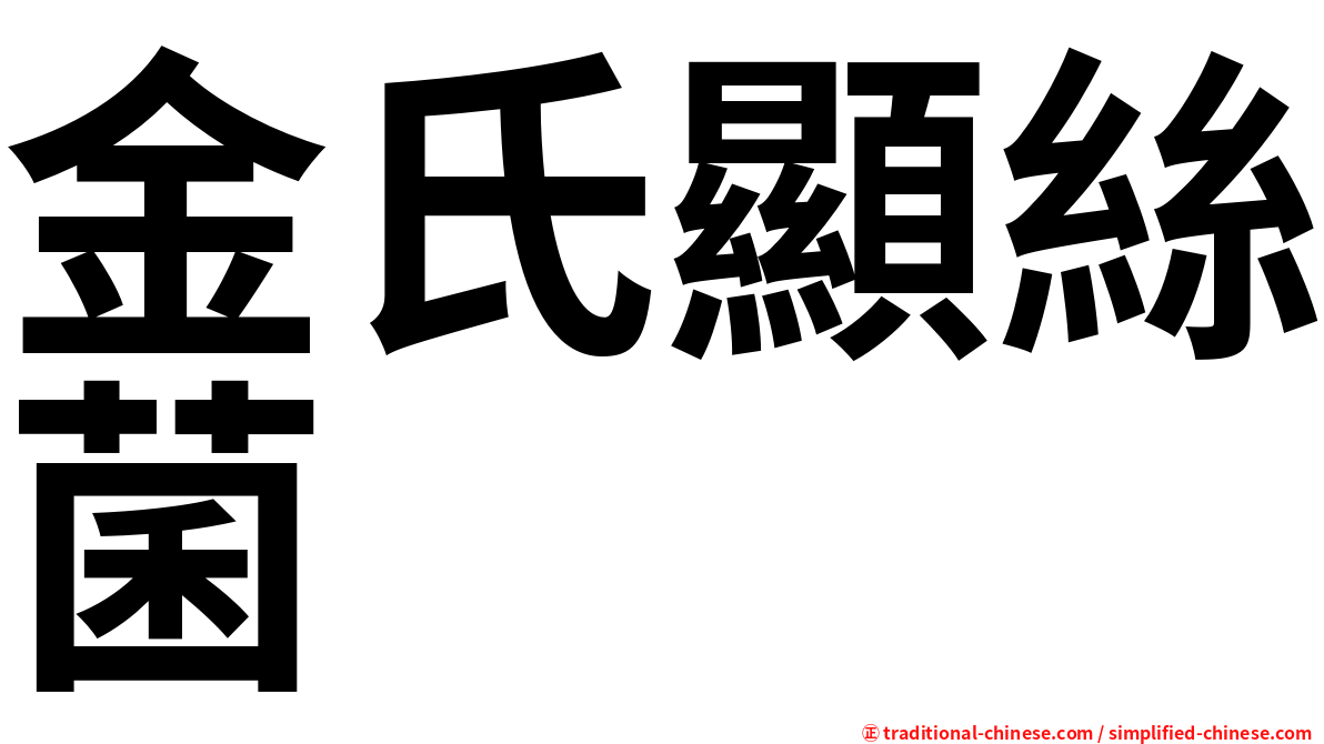金氏顯絲菌