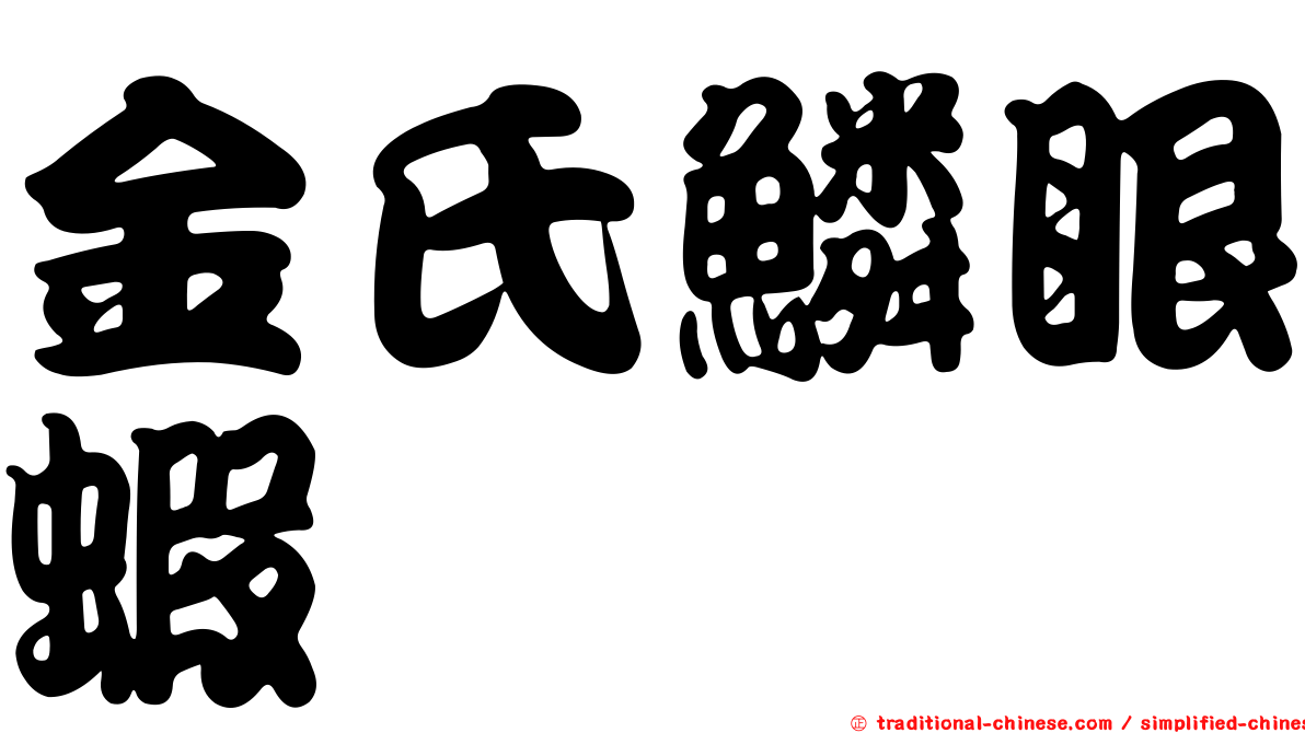 金氏鱗眼蝦