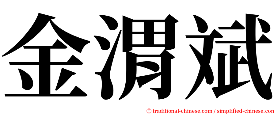 金渭斌 serif font