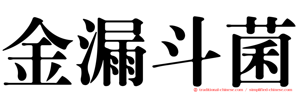 金漏斗菌