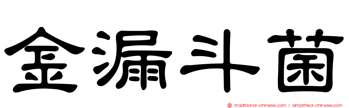 金漏斗菌