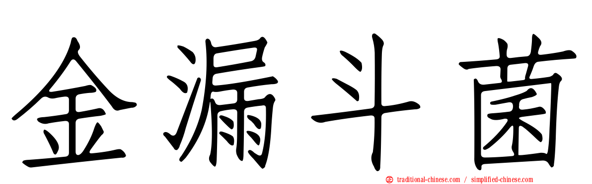 金漏斗菌