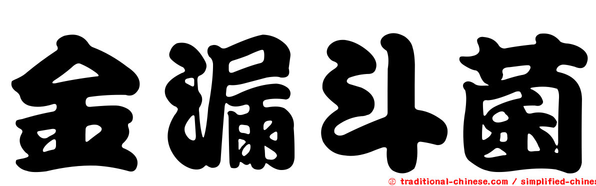 金漏斗菌