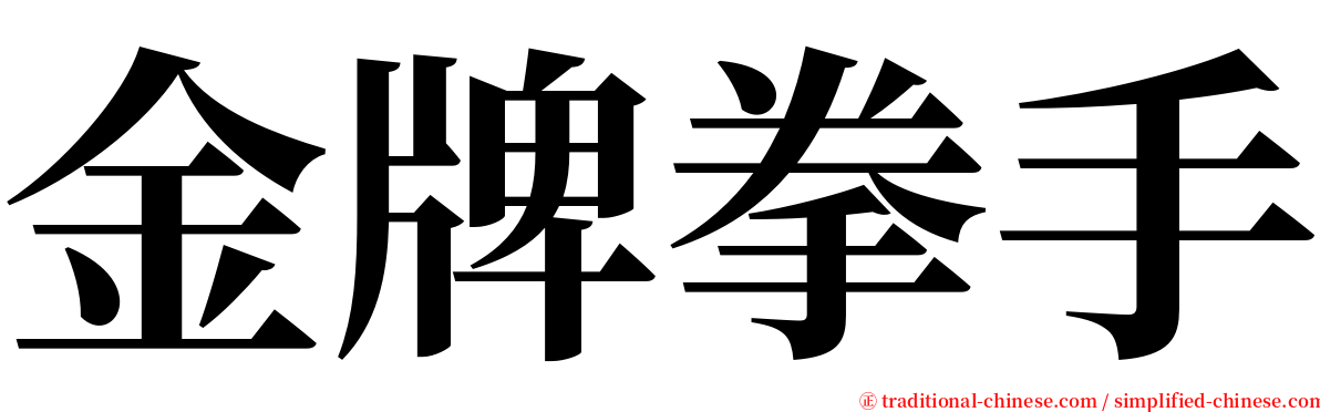 金牌拳手 serif font