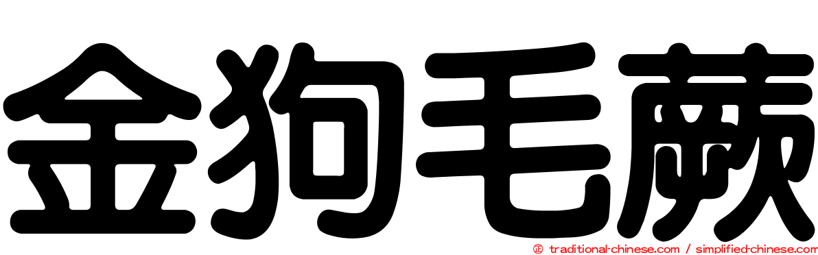 金狗毛蕨