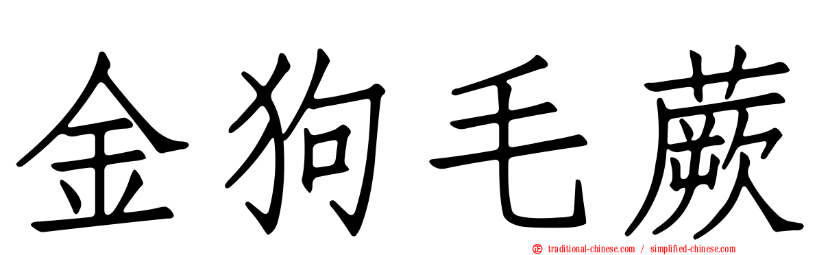 金狗毛蕨
