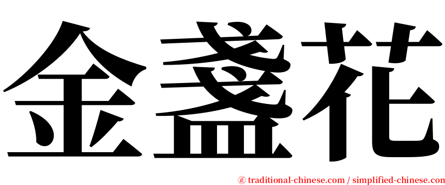 金盞花 serif font